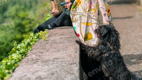 Preview: A Closeup Shot Of A Person Sitting With A Telephone And Dog