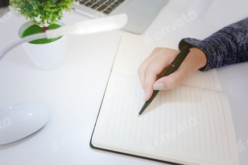 Preview: Woman Investor Working On Project Plan.