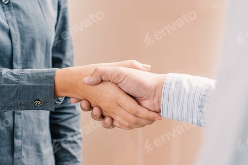 Preview: Business Partnership Hand Shaking Successful Commerce Dealing.