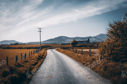 Preview: A Beautiful Shot Of A Road Through A Large Brown Meadow