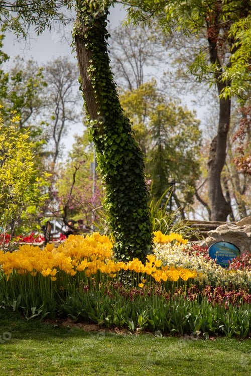 Preview: A Vertical Shot Of Ivy On A Tree Surrounded By Colorful Flowers In A Park