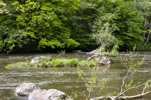 Preview: A Beautiful View Of A River Filled With Rocks In A Forest