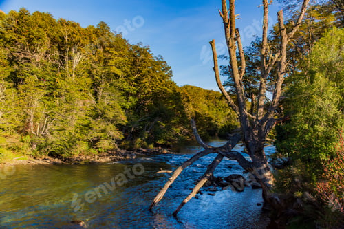 Preview: A Beautiful View Of The Flowing River Surrounded By Greens And Trees In The Park