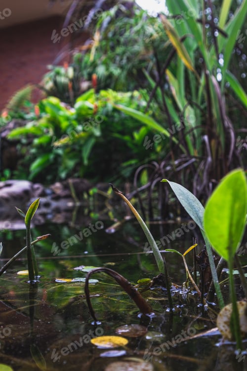 Preview: A Vertical Selective Focus Shot Of Weeds And Plants In A Pond