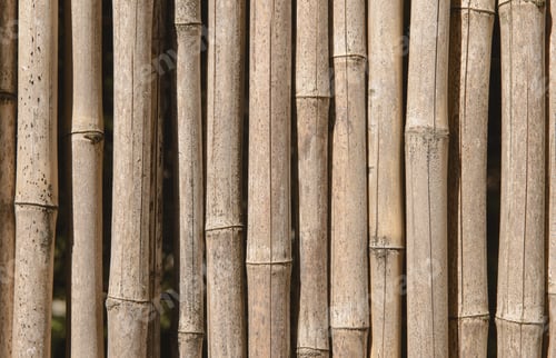 Preview: Bamboo Stalks Creating a Natural Background Pattern