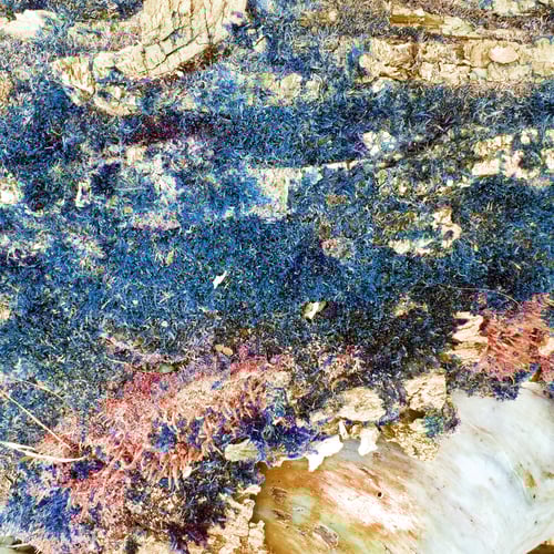 Preview: Abstract Blue, Red, and Brown Pattern