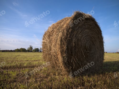 Preview: Farm Fields And Rolled Hay Stacks