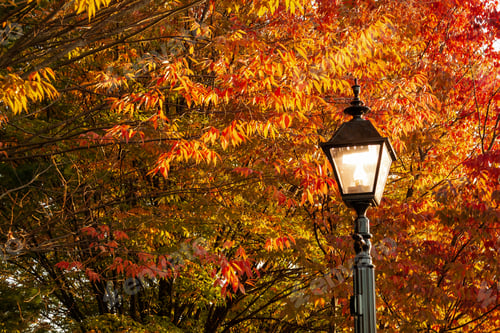 Preview: Gettysburg, Pa / Usa - October 25, 2014: An Illuminated Light Post Among Fall Colors And Autumn