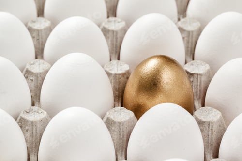 Preview: Tray Of Eggs