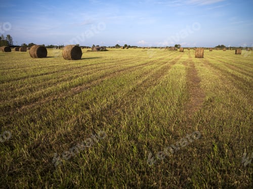 Preview: View Of A Hay Field With Blue Sky In The Background.