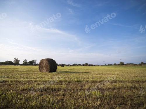 Preview: Farm Fields And Rolled Hay Stacks