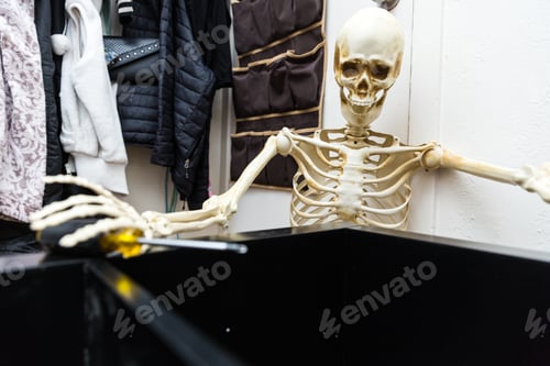 Preview: Bony Skeleton Assembling A Black Wooden Shelf
