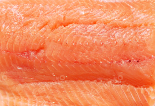Preview: A Salmon Fish Background