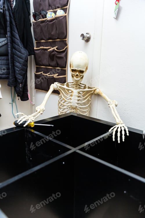 Preview: Bony Skeleton Assembling A Black Wooden Shelf