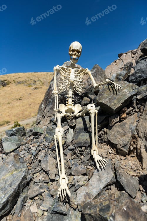 Preview: Skeleton Sitting On Rocks In The Desert With A Beautiful Blue Sky