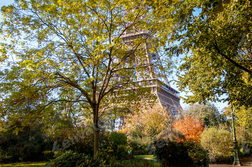 Preview: Eiffel Tower Paris