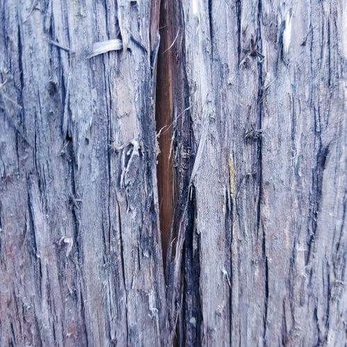 Preview: Aged Rustic Wooden Background Texture