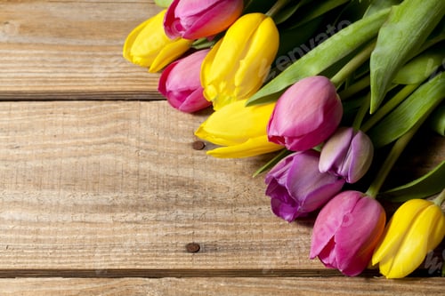 Preview: Spring Colorful Tulip Flowers Against Wood Background