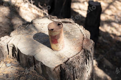 Preview: Vintage Rusted And Deteriorated Beer Can On A Forest Stump