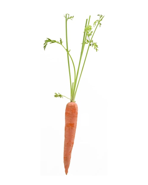 Preview: Raw Carrot Isolated On White