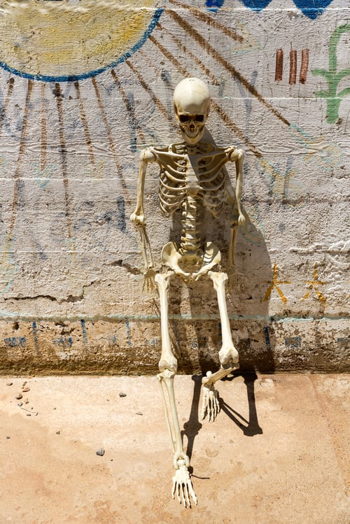 Preview: Skeleton Hanging Out At Ludwig Mine Nevada Ruins
