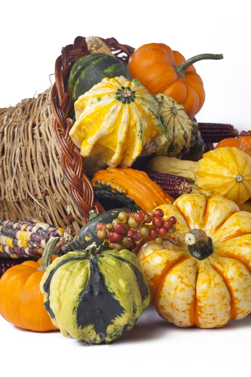 Preview: Thanksgiving Festive Cornucopia Horn Of Plenty Filled With Autumn Fruits And Vegetables; Isolated