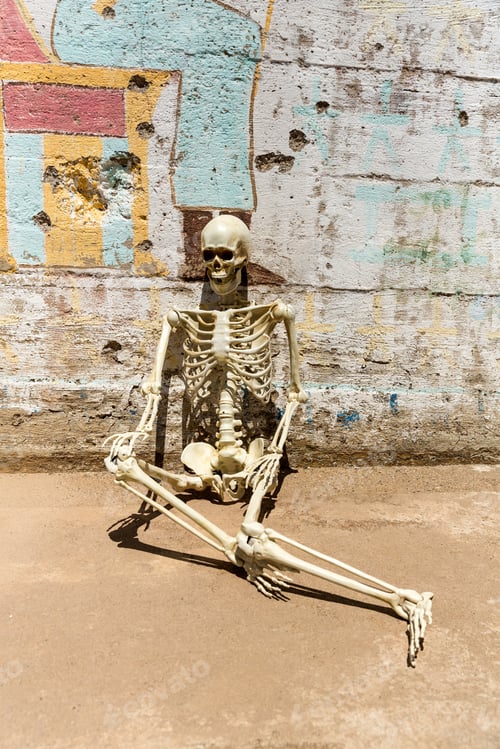 Preview: Skeleton Hanging Out At Ludwig Mine Nevada Ruins