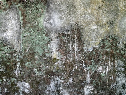 Preview: High Definition Photograph Of A Ancient Worn Wall In Italy Shot In Medium Format Hasselblad And