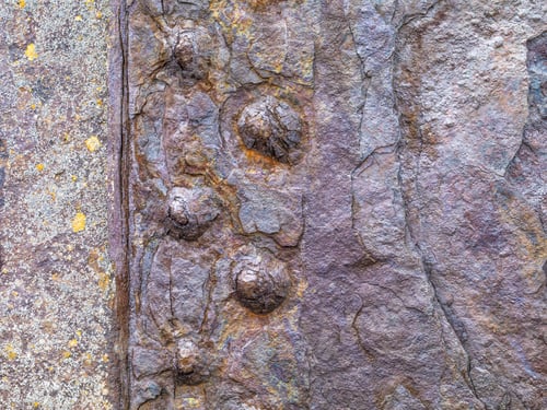 Preview: Rust Texture Background