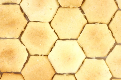 Preview: Oyster Crackers Up Close