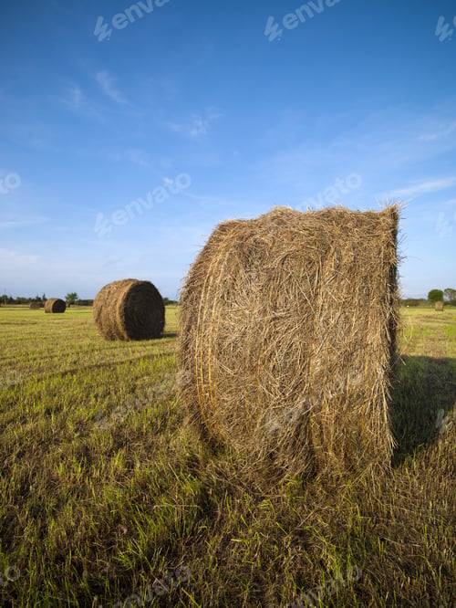 Preview: Farm Fields And Rolled Hay Stacks