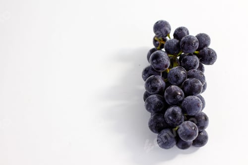 Preview: Blue Grapes Close Up On A White Background