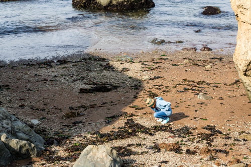 Preview: Child Collecting Sea Glass At The Beach