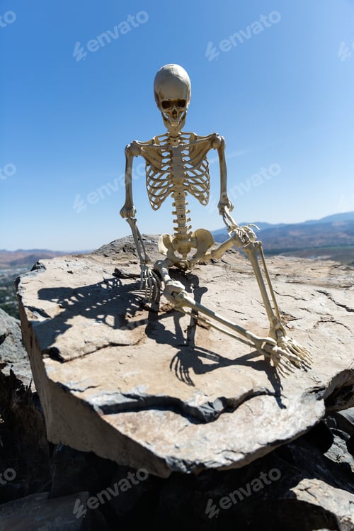 Preview: Skeleton Sitting On Rocks In The Desert With A Beautiful Blue Sky