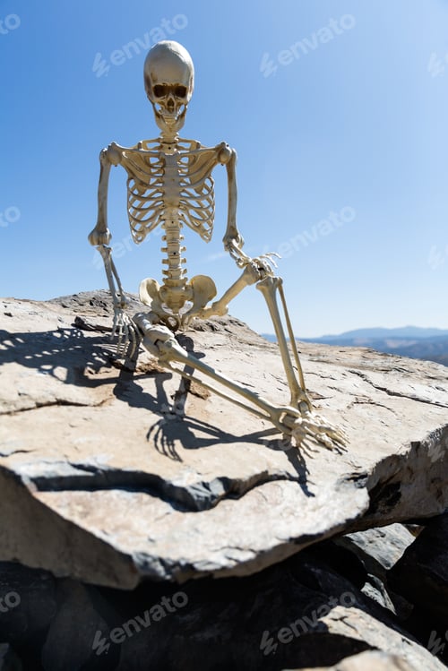 Preview: Skeleton Sitting On Rocks In The Desert With A Beautiful Blue Sky