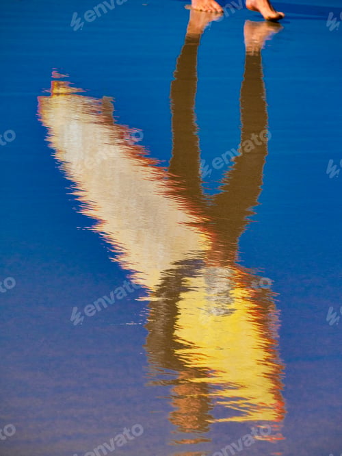 Preview: A Surfer With Surfboard Reflected In The Water As He Walks Along The Beach.