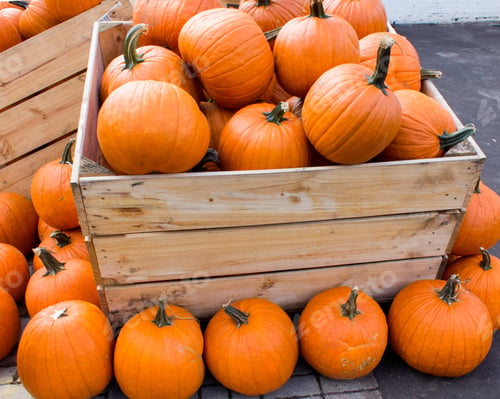 Preview: Halloween Pumpkins In A Wooden Crate In A Grocery Store