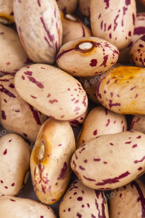 Preview: Rattlesnake Beans