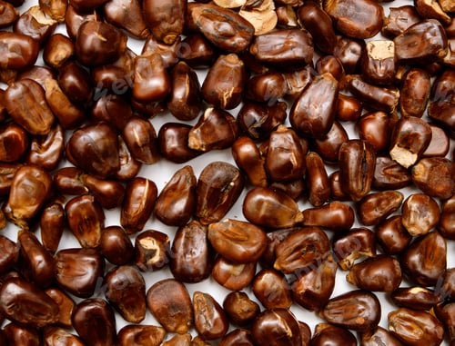 Preview: Toasted Corn In The Kitchen On White Background