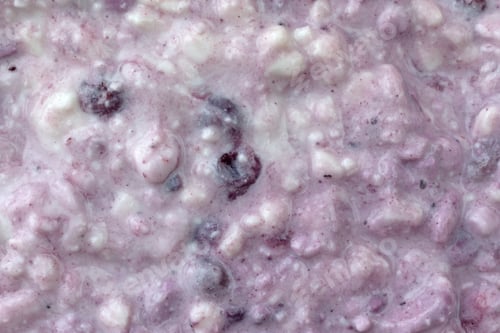 Preview: A Very Close View Of Blueberries Mixed Into Cottage Cheese.