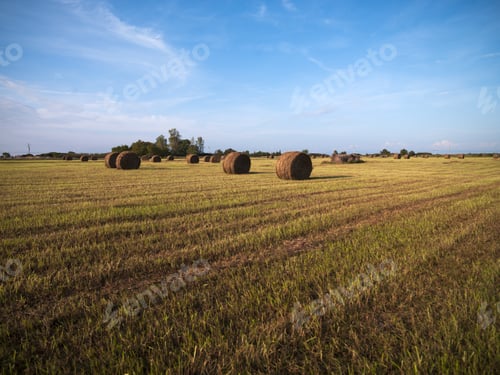 Preview: Farm Fields And Rolled Hay Stacks