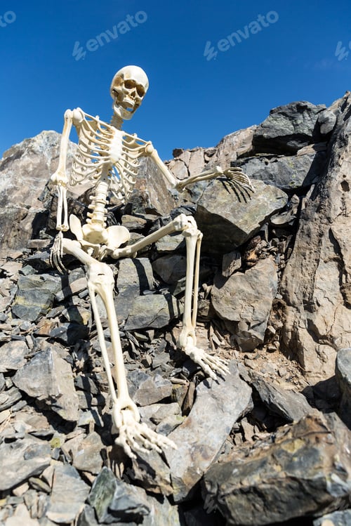 Preview: Skeleton Sitting On Rocks In The Desert With A Beautiful Blue Sky