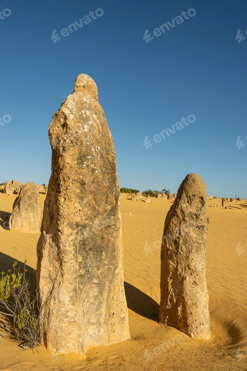 Preview: Pinnacles Limestone Formations Within Nambung National Park Western Australia