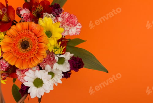 Preview: Beautiful Flowers And Gift Box With Ribbon