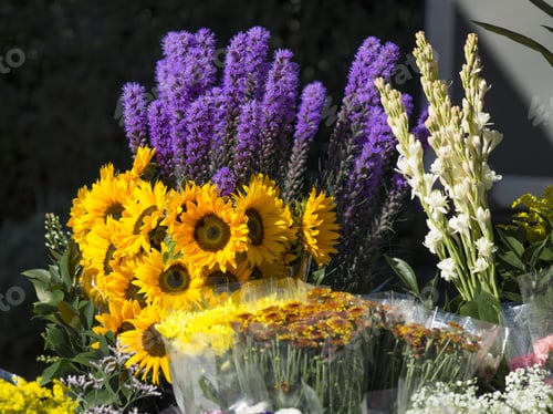 Preview: Horizontal Image Of A Different Flower Put In Plastic And Vase On The Flower Shop