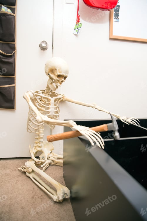 Preview: Bony Skeleton Assembling A Black Wooden Shelf