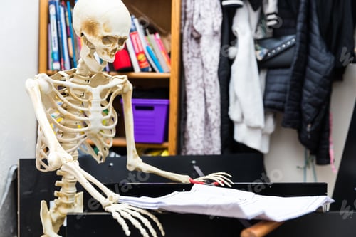 Preview: Bony Skeleton Assembling A Black Wooden Shelf