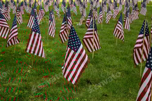Preview: Field of Flags Displayed for Memorial Day