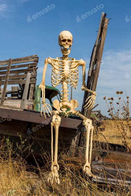 Preview: Skeleton Sitting On An Old Truck Bed In A Dead Grass Field