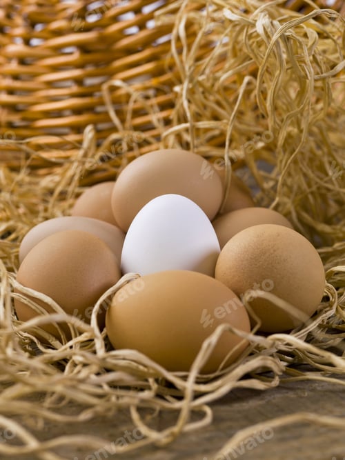 Preview: Close Up Image Of White Eggs With Brown Eggs